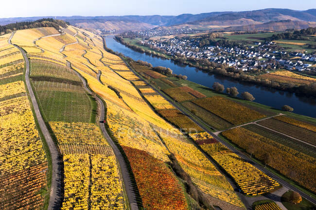 Germania, Renania-Palatinato, Veduta in elicottero del fiume Mosella e dei vigneti circostanti in autunno — Foto stock