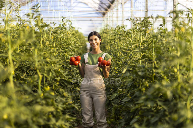 Giovane contadina sorridente con pomodori freschi in piedi tra le piante in serra — Foto stock