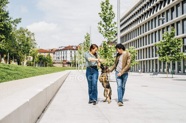 Пара бавиться з собакою, коли йде по міській вулиці. — стокове фото