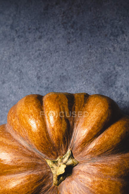 Студийный снимок сырой тыквы — стоковое фото
