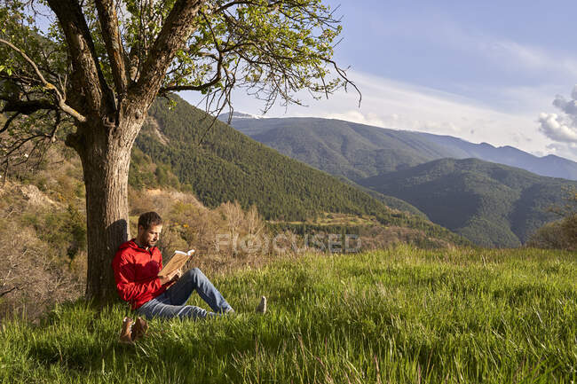 Середній дорослий чоловік читає книгу, сидячи під деревом на траві — стокове фото
