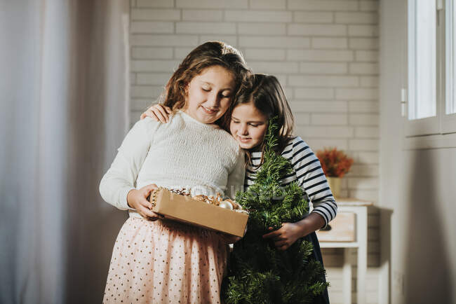 Дівчинка з сестричкою з обіймами сосни тримає вдома ящик з різдвяними прикрасами. — стокове фото