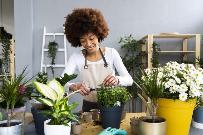 Sonriente florista femenina poda planta en maceta en la tienda - foto de stock