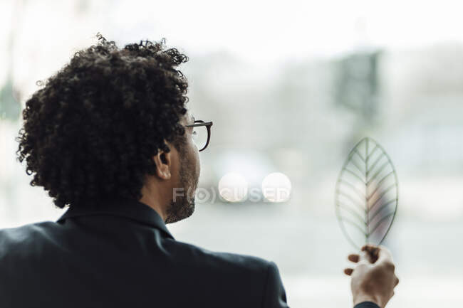 Uomo d'affari con capelli ricci esaminando modello foglia in ufficio — Foto stock