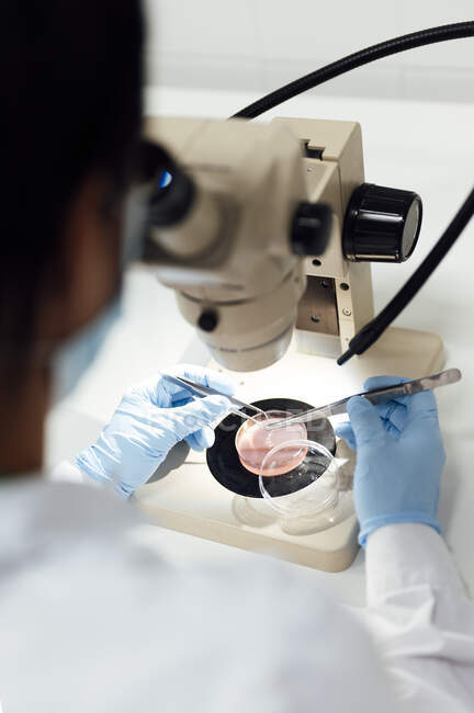 Scientifique mature utilisant une pince à épiler lors de l'analyse d'échantillons médicaux au microscope en laboratoire — Photo de stock