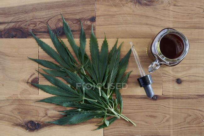 Hojas de cannabis y aceite casero de CBD — Stock Photo