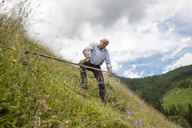 Старший фермер, работающий с косой на холме в Зальцбурге, Австрия — стоковое фото