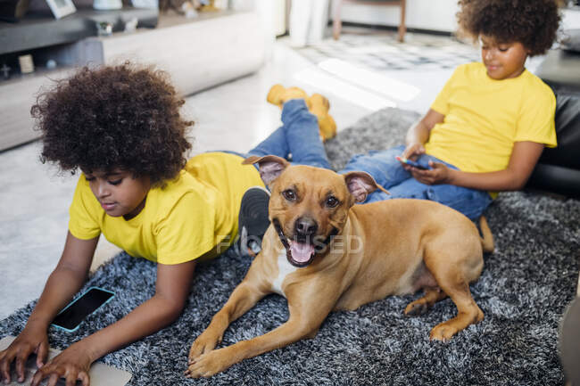 Dog sitting by twin boys using mobile phone and laptop at home — Stock Photo