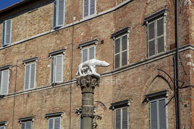 Italy, Tuscany, Siena, Sculpture of wolf, Romulus and Remus standing in front of historical townhouse — Stock Photo