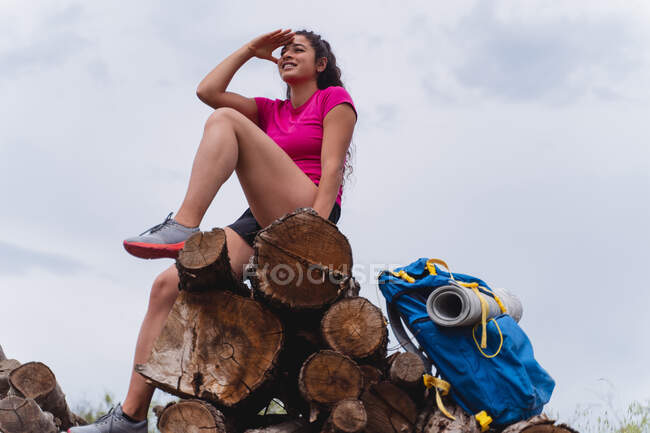 Mujer excursionista blindando los ojos mientras está sentado en troncos en frente del cielo - foto de stock