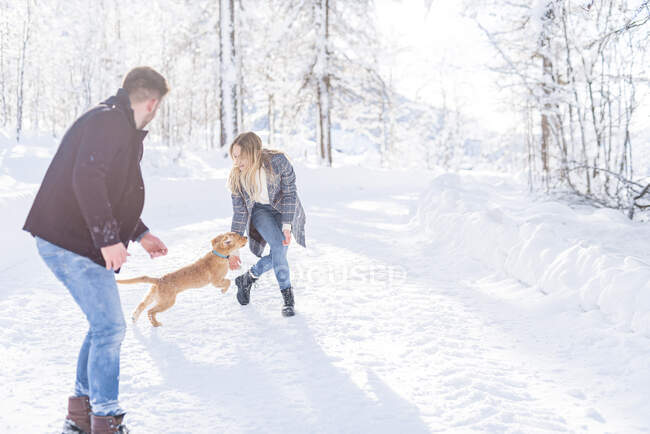 Fidanzato e fidanzata giocare con cane nella neve durante le vacanze — Foto stock