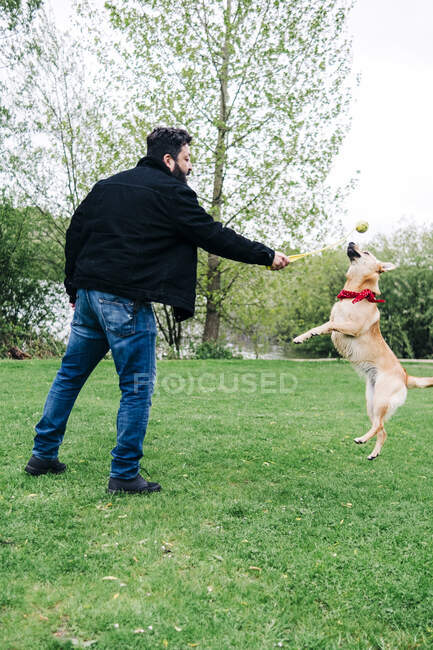 Uomo che gioca con il cane nel parco — Foto stock