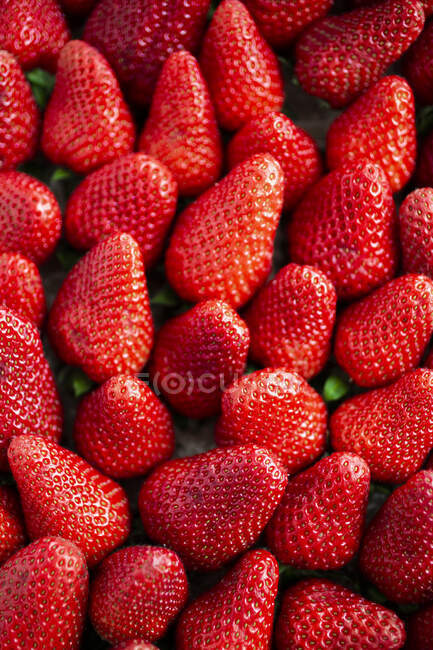 Cadre complet de fraises fraîches mûres — Photo de stock