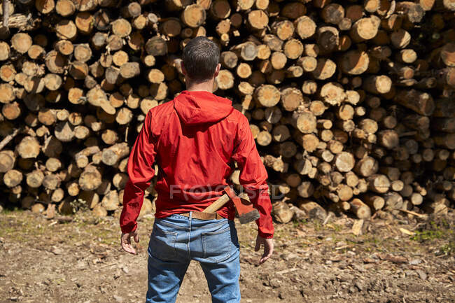 Uomo adulto medio che guarda tronchi d'albero nell'industria del legname — Foto stock