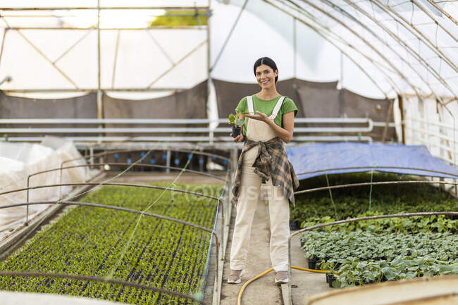 Jovem agricultora sorridente em pé com planta em vaso em estufa — Fotografia de Stock