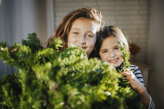 Smiling girls hiding behind Christmas tree at home — Stock Photo
