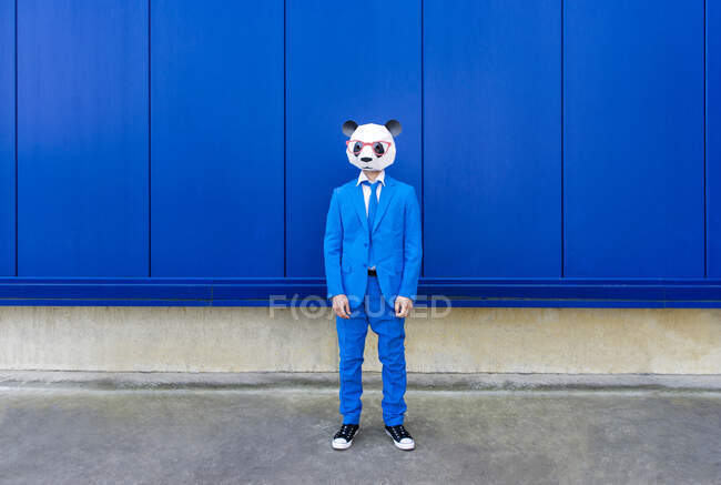 Hombre vistiendo traje azul vibrante y máscara de panda de pie delante de la pared azul - foto de stock