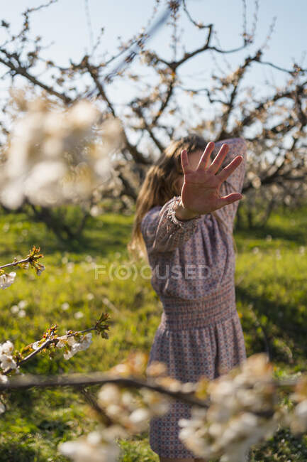 Mujer mostrando gesto de stop en campo de cereza - foto de stock