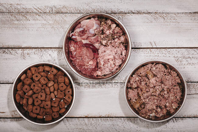 Выбор между BARF (биологически целесообразный сырой пищи), подготовленные консервы и сухое питание гранулы для питания собак — стоковое фото
