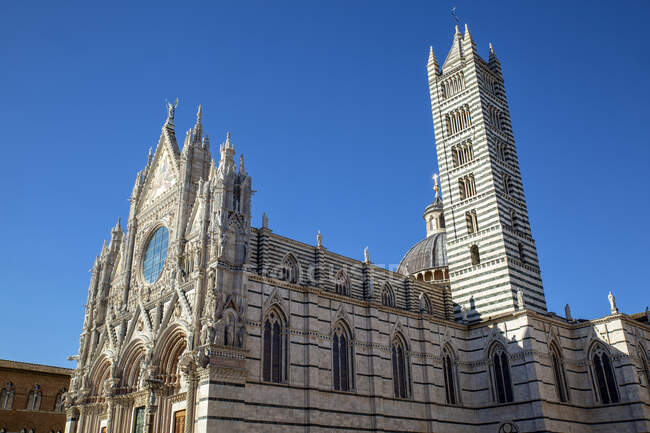 Italia, Toscana, Siena, Cielo limpido sul Duomo di Siena — Foto stock