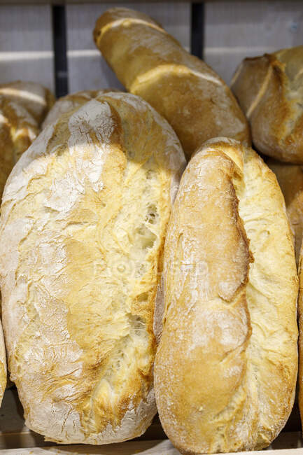 Frische Brote beim Bäcker — Stockfoto