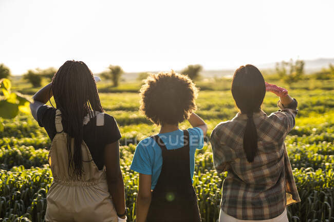 Mulheres trabalhadoras agrícolas com menina olhando para a vista enquanto estão juntas na fazenda orgânica no dia ensolarado — Fotografia de Stock