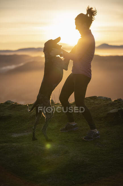 Frau spielt bei Sonnenaufgang mit Hund auf Schanze — Stockfoto