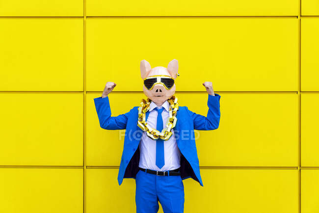 Man wearing vibrant blue suit, pig mask and large golden chain flexing muscles against yellow wall — Stock Photo