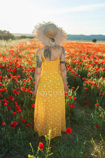 Mulher adulta média em sundress em pé no campo de papoula — Fotografia de Stock