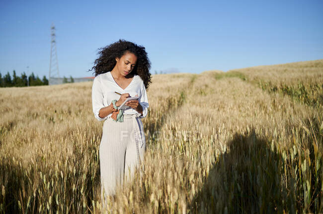 Молода жінка з кучерявим волоссям пише в блокноті, стоячи на пшеничному полі в сонячний день — стокове фото