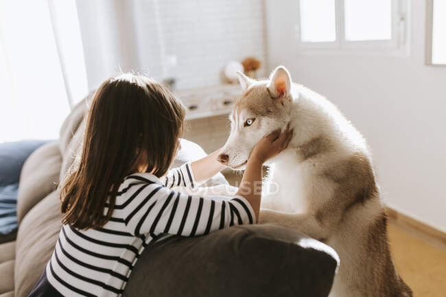 Ragazza accarezzando siberiano Husky mentre si appoggia sul divano a casa — Foto stock