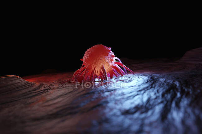 Renderizado tridimensional de células cancerosas - foto de stock