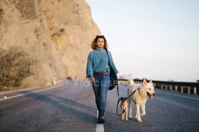 Женщина с Сибирским Хаски и Джеком Расселом Терьером смотрят в сторону, когда идут по горной дороге — стоковое фото