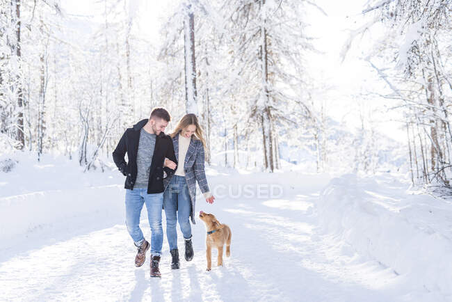 Хлопець і дівчина ходять на снігу з собакою під час відпустки — стокове фото