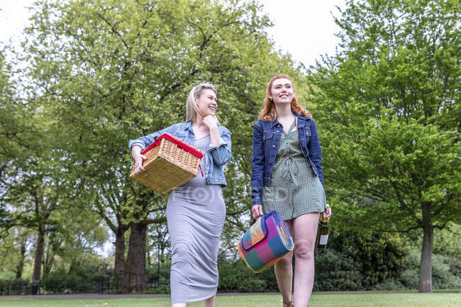 Amici femminili sorridenti che tengono cestino da picnic e coperta mentre camminano al parco — Foto stock