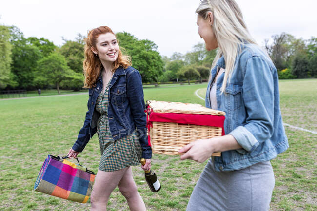 Amici sorridenti che tengono coperta da picnic e cesto mentre camminano nel parco — Foto stock