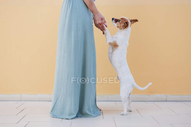 Жінка тримає собачі ноги, стоячи на тротуарі біля стіни. — стокове фото