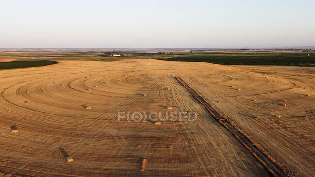 Champ agricole pendant le coucher du soleil — Photo de stock