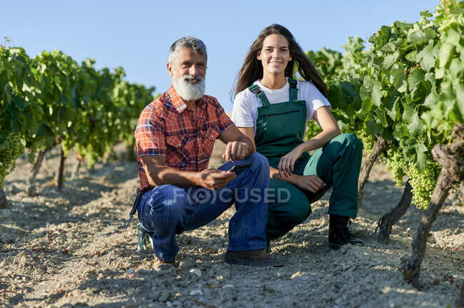 Campesinos y campesinas sonrientes acurrucados por las plantas en el viñedo - foto de stock