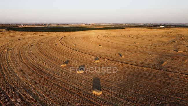 Straw field with bales during sunset — Stock Photo
