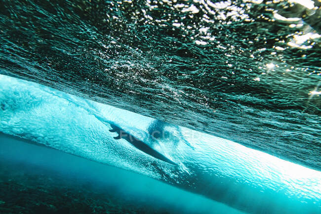 Vista subaquática do jovem surfando em águas azul-turquesa do Sul Male Atoll — Fotografia de Stock