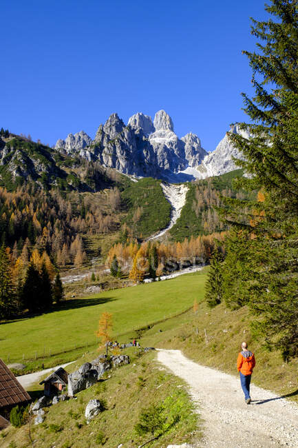 Wandersmann wandert auf Feldweg Richtung idyllisches Tal im Gosaukamm — Stockfoto