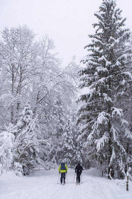Germania, Baviera, Pessenbach, Uomo maturo e giovane donna sciare su Rabenkopf in inverno nevoso — Foto stock