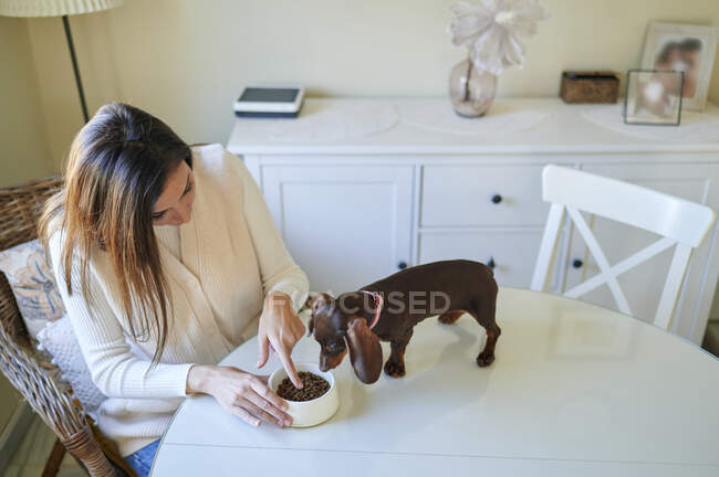 Woman giving food to dog on table at home — Stock Photo