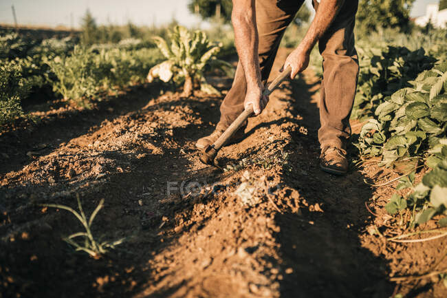 Maschio contadino scavare campo con pala nella giornata di sole — Foto stock