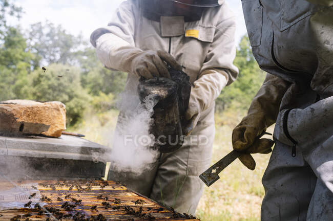 Male and female beekeepers using bee smoker while working at farm — Stock Photo