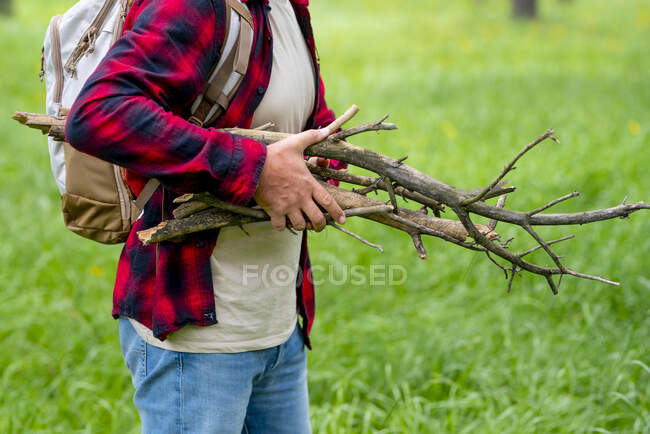Зрілий чоловік збирає дерев 