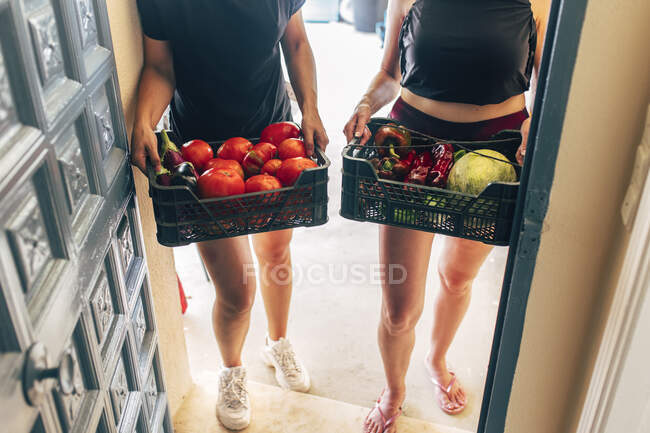 Молодые женщины с собранными органическими овощными корзинами у дверей — стоковое фото