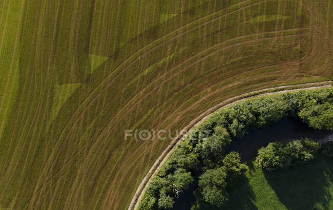 Drone vista del campo raccolto verde in estate — Foto stock