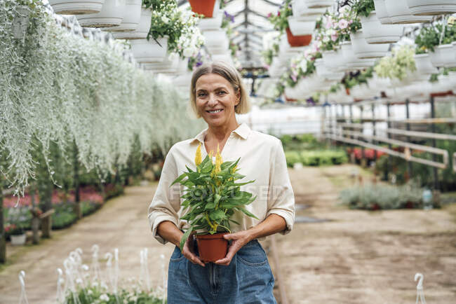 Esperta di agricoltura femminile che detiene piante in vaso in serra — Foto stock